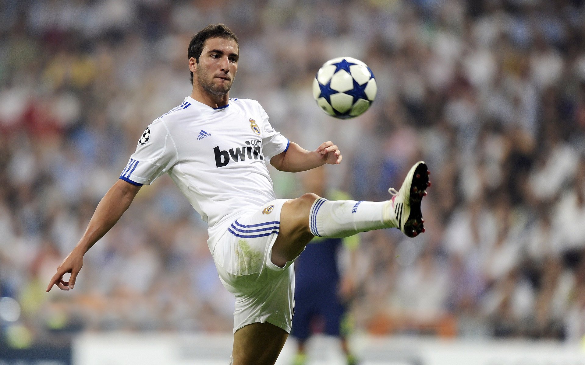 世界杯：华裔小球迷在现场举牌“梦想有一天中国队也来” 被国际媒体报道